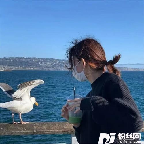 达尔文II女生进化版的专辑