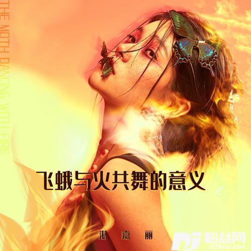 飞蛾与火共舞的意义的专辑