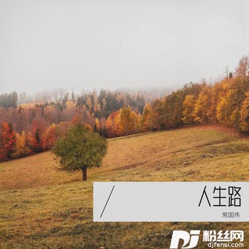 人生路Demo