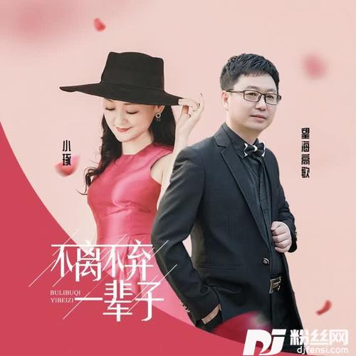 不离不弃一辈子（DJ）