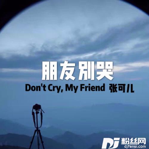 朋友别哭