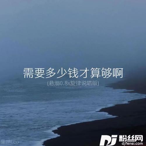 需要多少钱才算够啊悬溺0.8x旋律说唱版的专辑