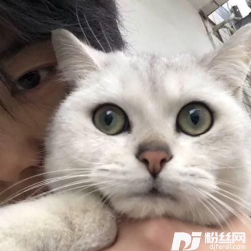 每当我cover:足迹大咖的专辑