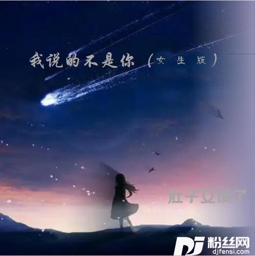 我说的不是你女生版的专辑