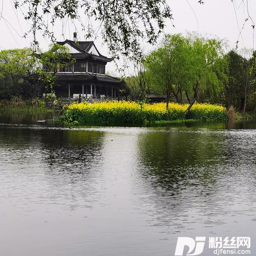 相信你cover:金婷婷
