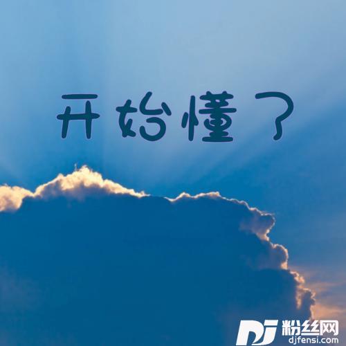 开始懂了DJ阿韾版