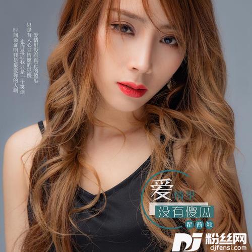 爱情里没有傻瓜DJ何鹏版的专辑
