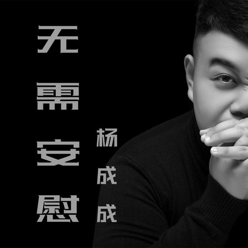 无需安慰（DJ阿卓版）的专辑