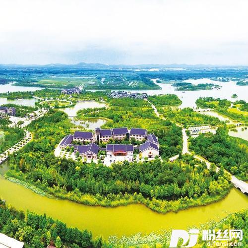 其实你不懂我的心cover:童安格的专辑