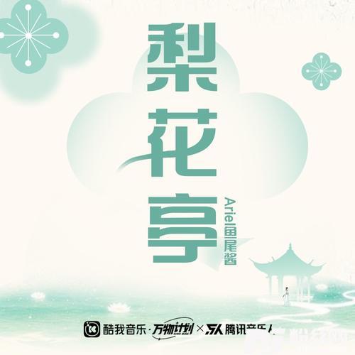 梨花亭DJ沈念版的专辑