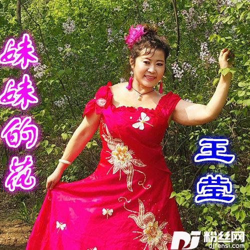 妹妹的花的专辑