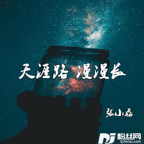 天涯路漫漫长的专辑