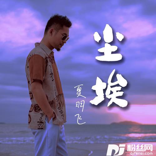 尘埃粤语版的专辑