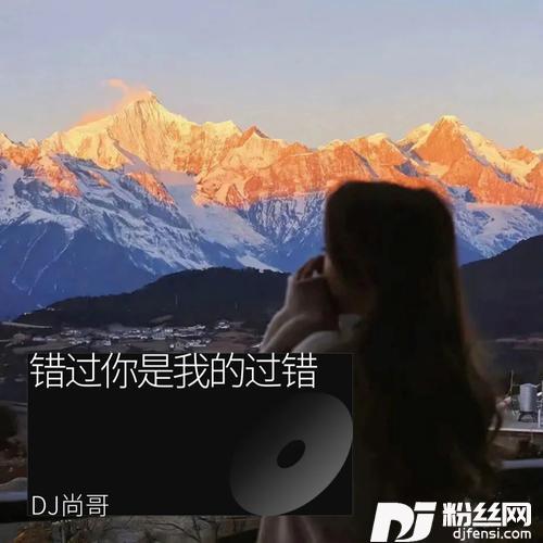一千个伤心的理由DJ尚哥remix