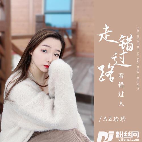 走错过路看错过人DJ彭锐版