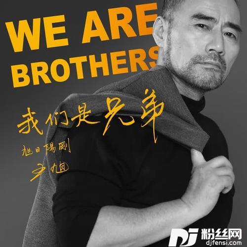 如果我只是一颗小草的专辑
