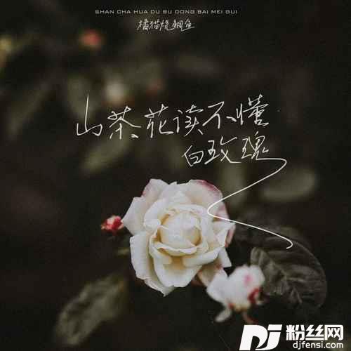 山茶花读不懂白玫瑰的专辑