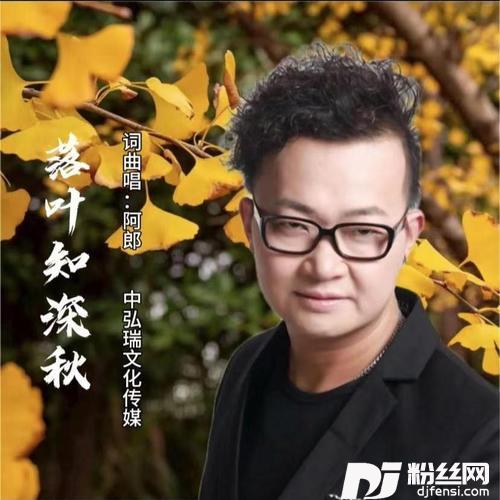 落叶知深秋DJ京仔版Remix的专辑