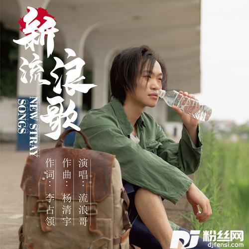 新流浪歌