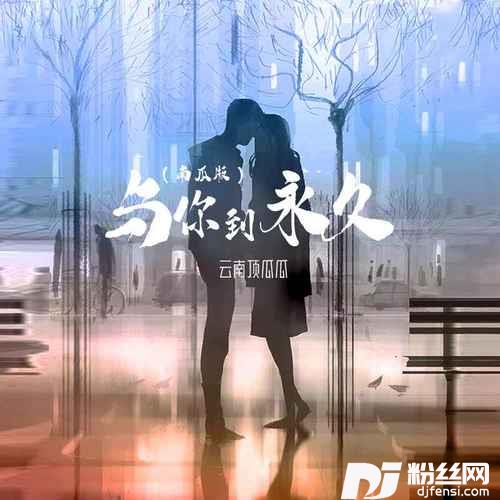 与你到永久南瓜版的专辑