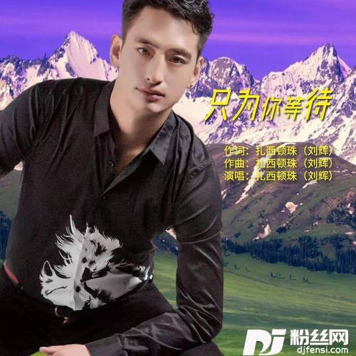 只为你等待