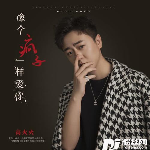 像个疯子一样爱你DJ版的专辑