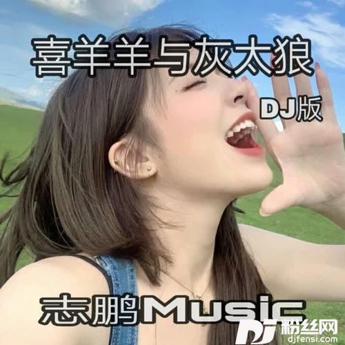 喜羊羊与灰太狼（DJ版）cover:二珊的专辑