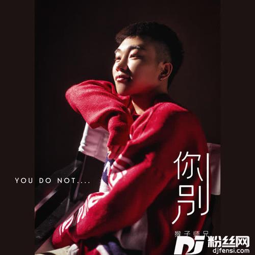 你别的专辑