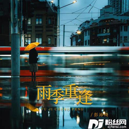 雨季重逢