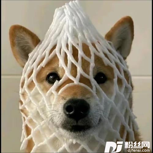 你是我所有的梦cover:邵帅