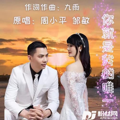 你就是我的唯一的专辑
