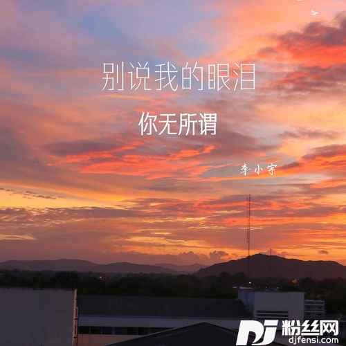 别说我的眼泪你无所谓的专辑