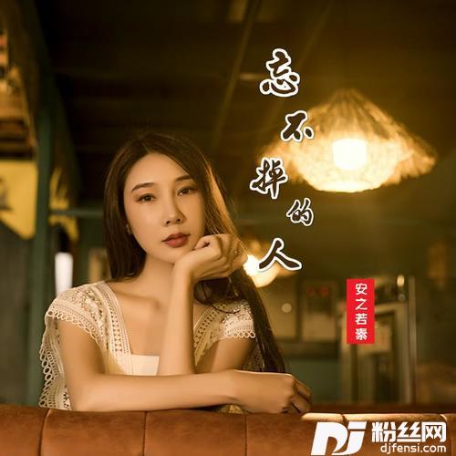 忘不掉的人的专辑