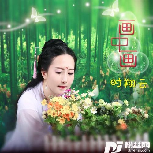 画中画的专辑