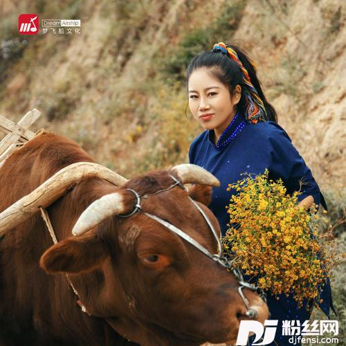 情歌飘过黄土坡的专辑
