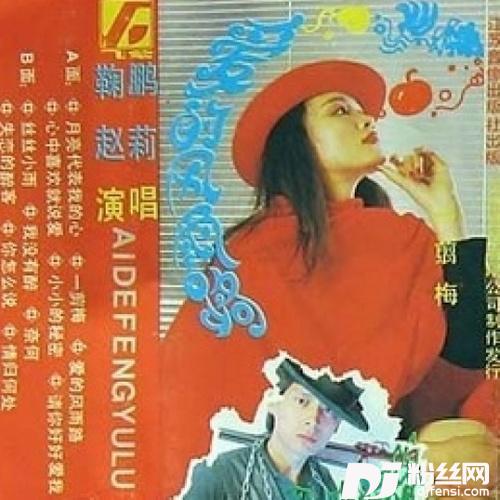 爱的风雨路的专辑