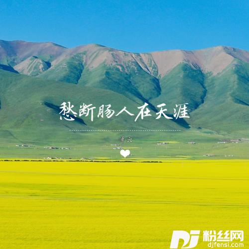 愁断肠人在天涯0.8X的专辑