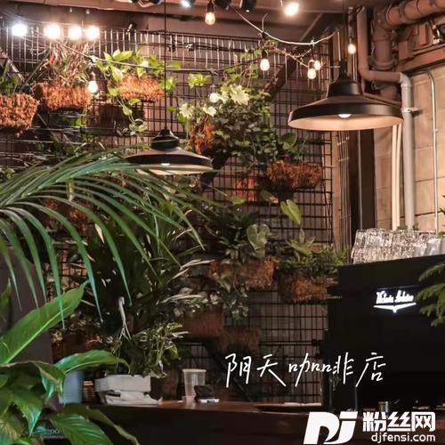 阴天咖啡店的专辑