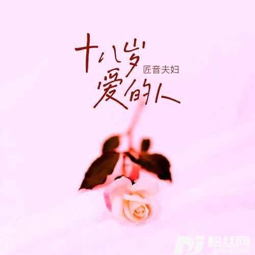 十八岁爱的人