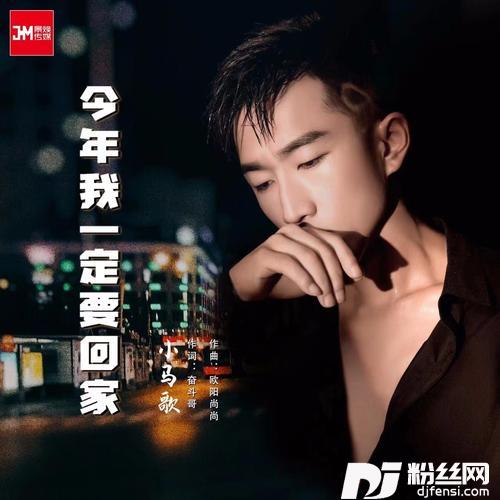 今年我一定回家的专辑