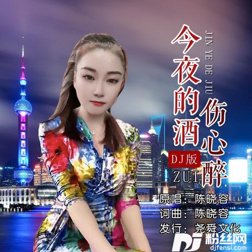 今夜的酒伤心醉（DJ）