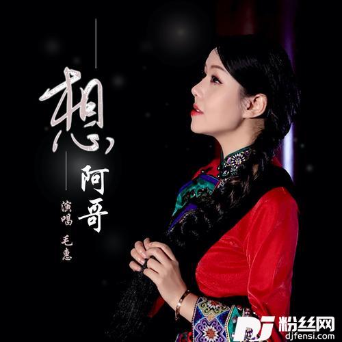 想阿哥（DJ默涵版）