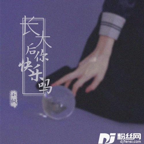 长大后你快乐吗的专辑