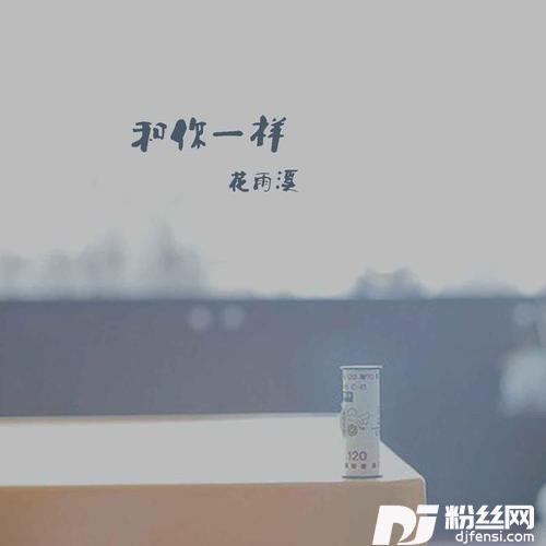 和你一样的专辑