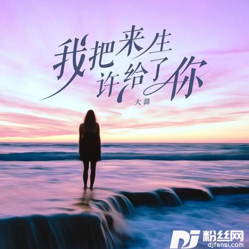 我把来生许给了你