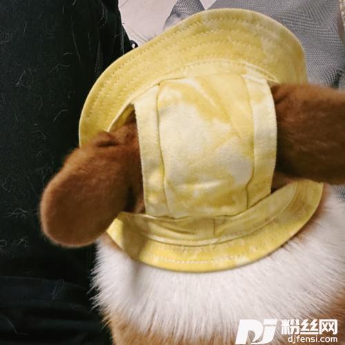 三国恋2022cover:Tank|F.I.R.飞儿乐团的专辑
