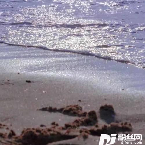 山海再无你