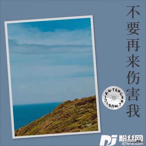 不要再来伤害我cover:孙露的专辑