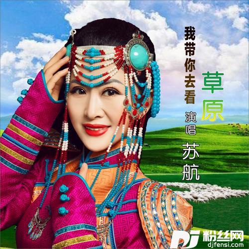 我带你去看草原DJ何鹏版