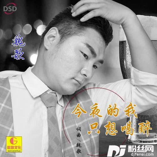 今夜的我只想喝醉（DJ版）的专辑